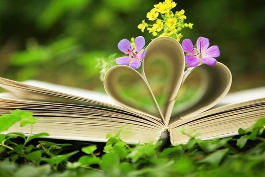 LUYỆN ĐỀ TRẮC NGHIỆM VÀO 6 NGUYỄN TRÃI